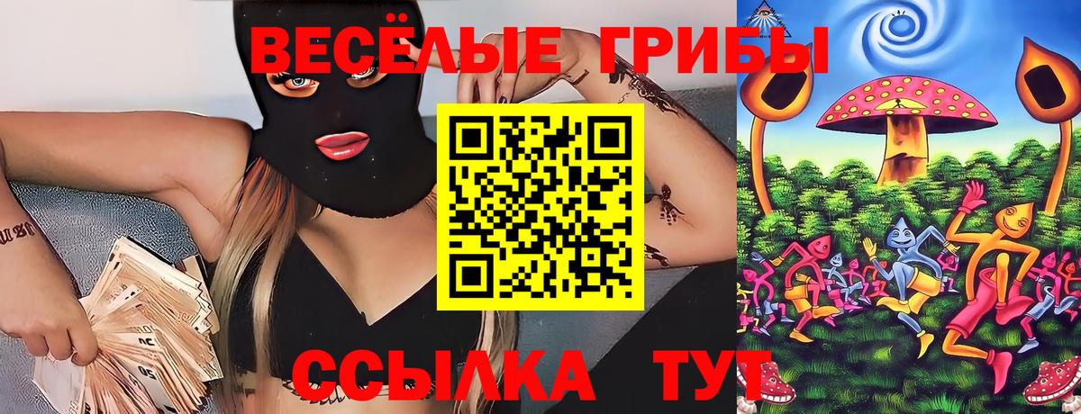 Десногорск  Псилоцибиновые грибы прущие грибы  Вход с VPN 
